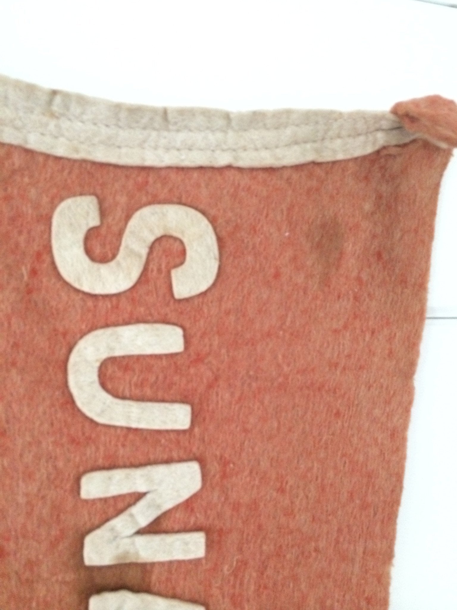 1920s Sunapee Lake NH Pennant - Diamonds & Rust