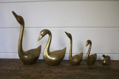 Brass Swan 4 - Diamonds & Rust