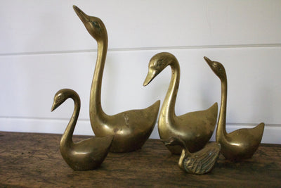 Brass Swan Collection - Diamonds & Rust
