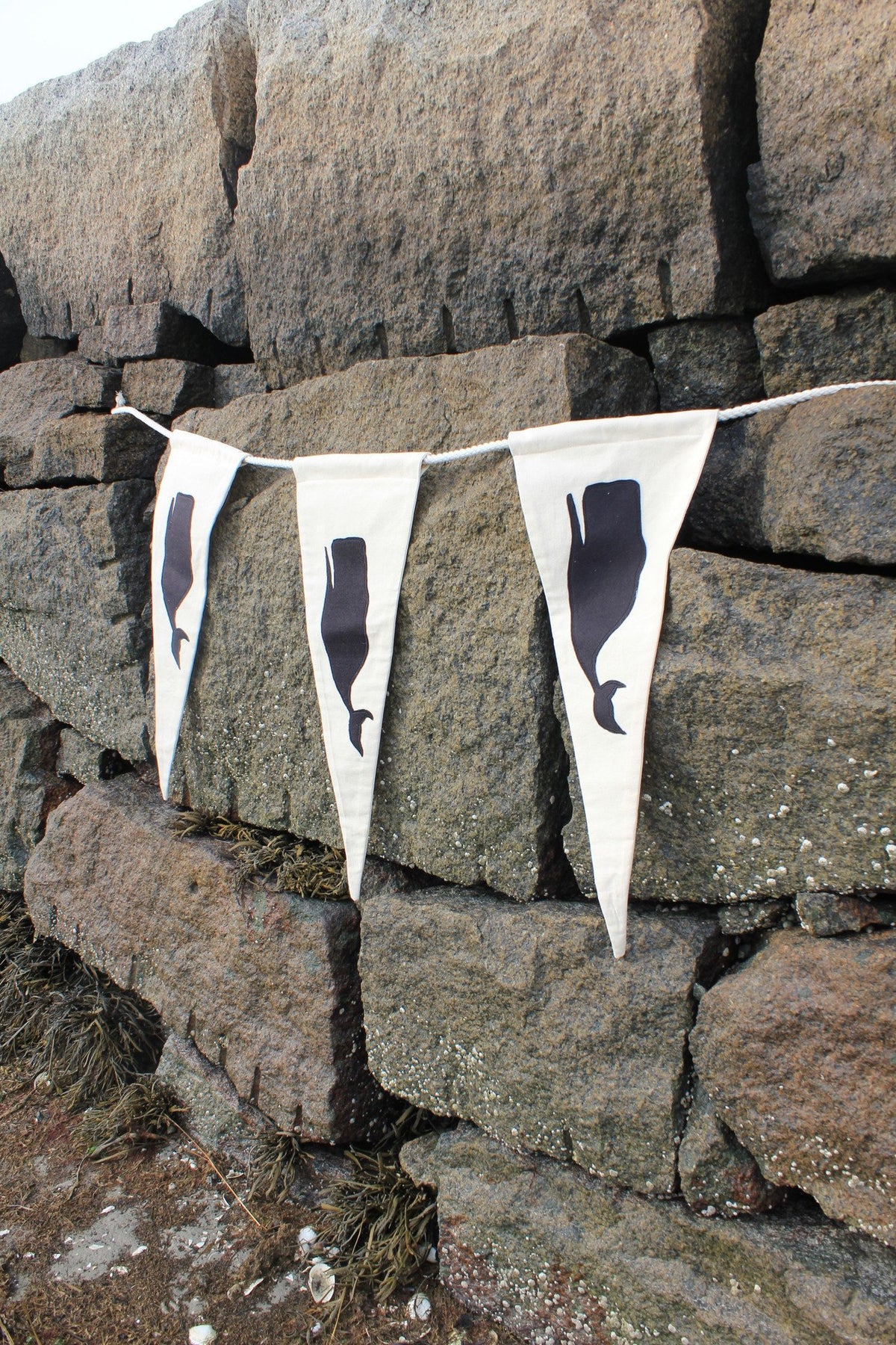 Whale Pennant - Diamonds & Rust