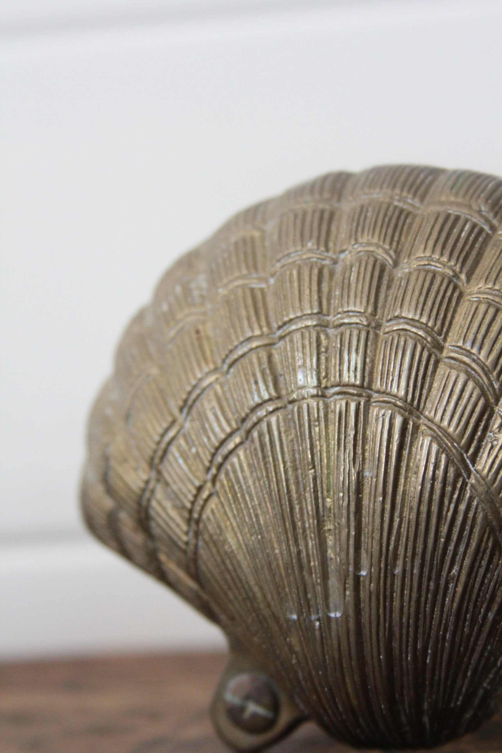 Brass Clamshell Coasters - Diamonds & Rust