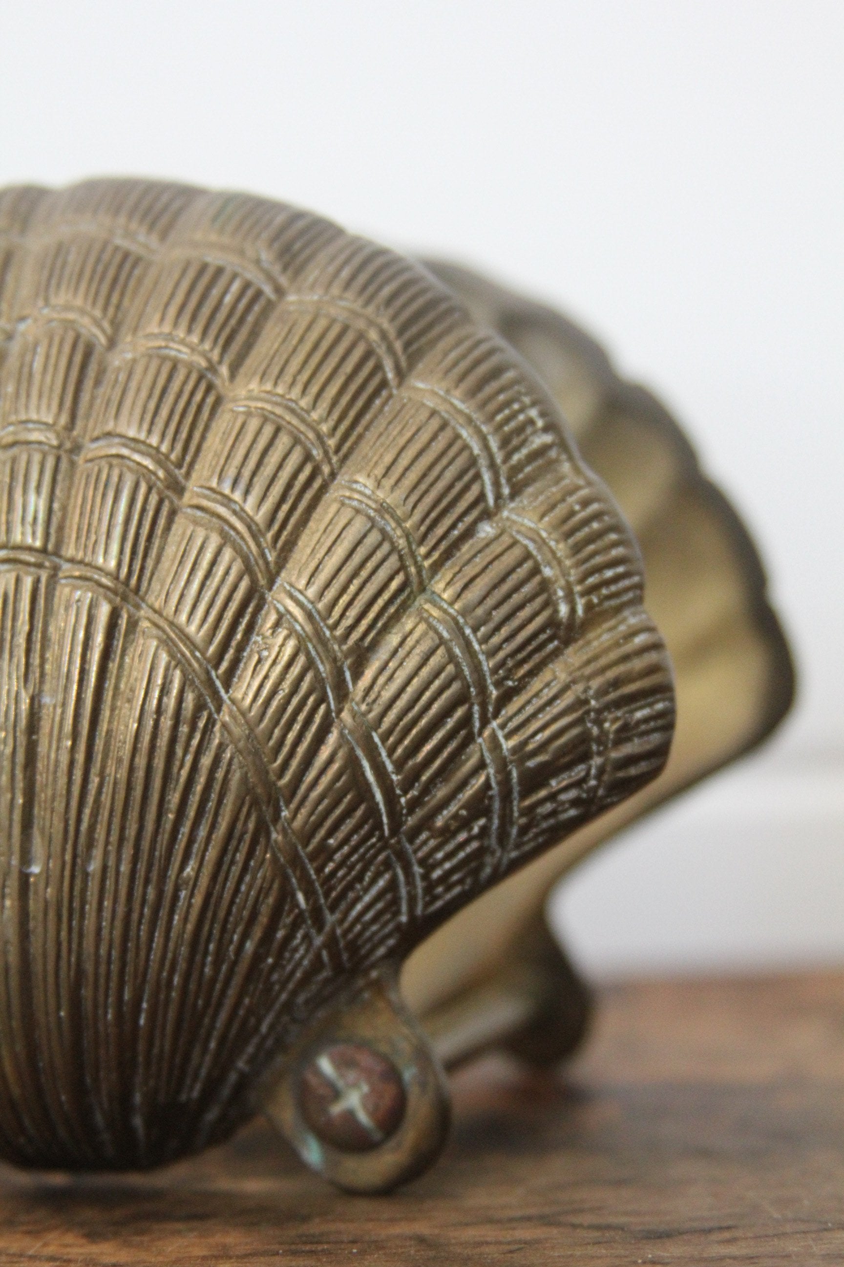 Brass Clamshell Coasters - Diamonds & Rust