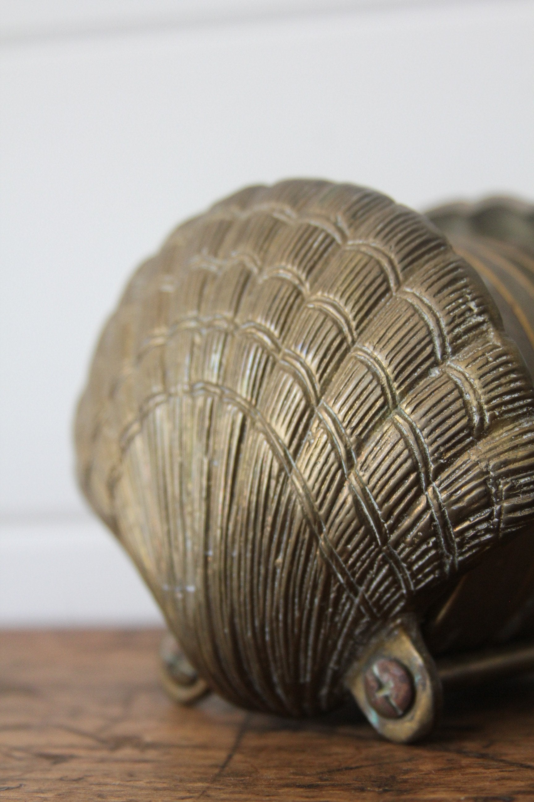 Brass Clamshell Coasters - Diamonds & Rust