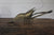 Vintage Brass Lobster - Diamonds & Rust