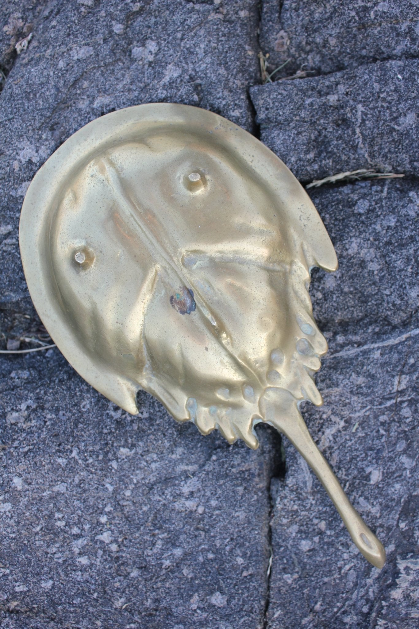 Vintage Brass Horseshoe Crab - Diamonds & Rust 