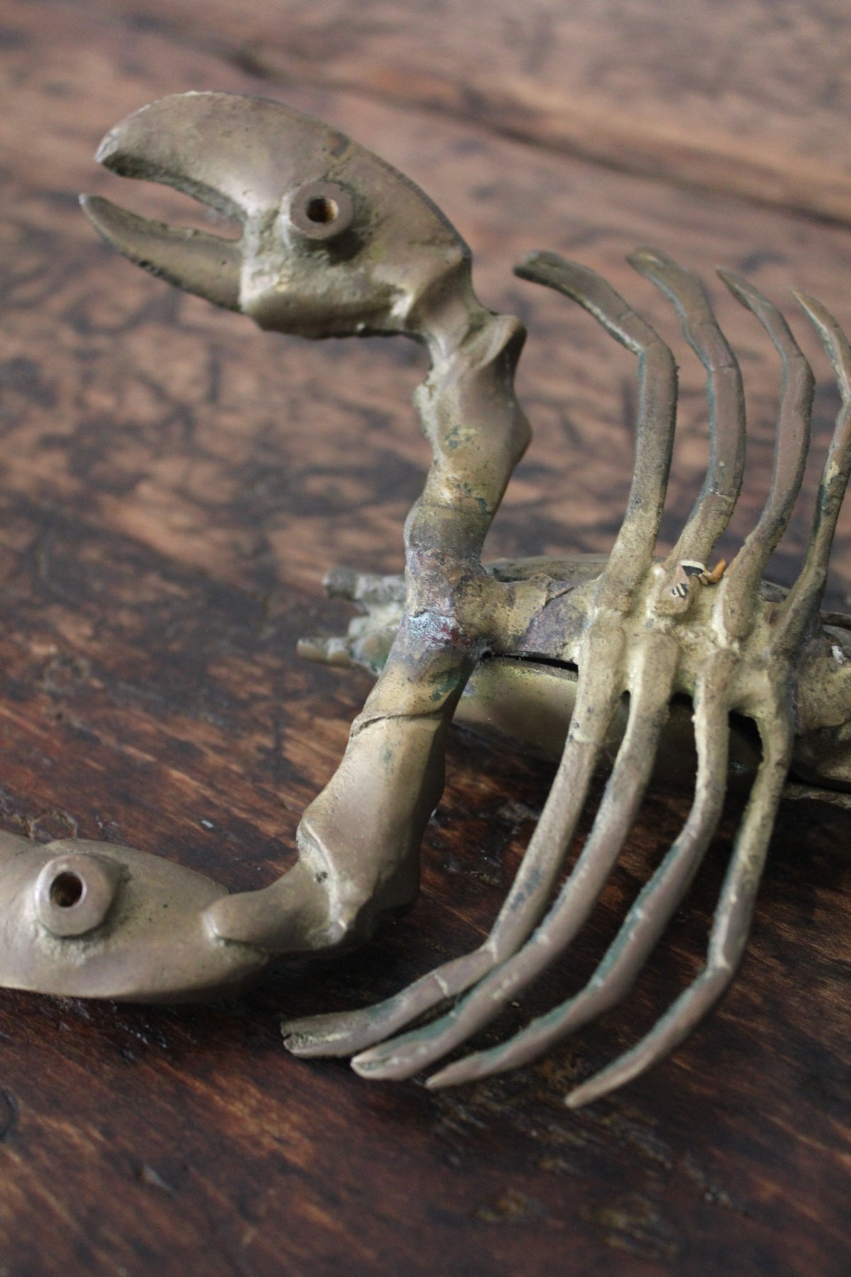 Vintage Brass Lobster - Diamonds & Rust