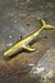 Tiny Brass Humpback Whale