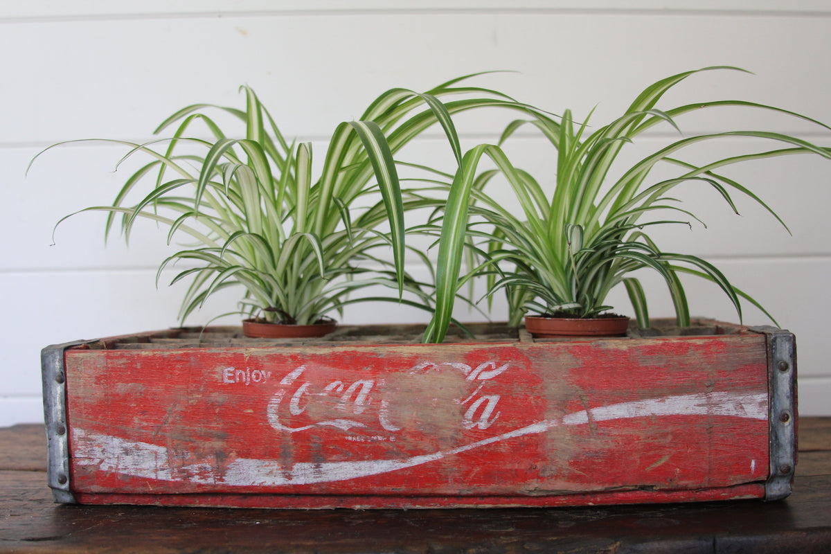 Coca Cola Wood Crate B - Diamonds & Rust