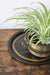 Hand Painted Sailboat Tray - Diamonds & Rust