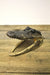 Vintage Alligator Head