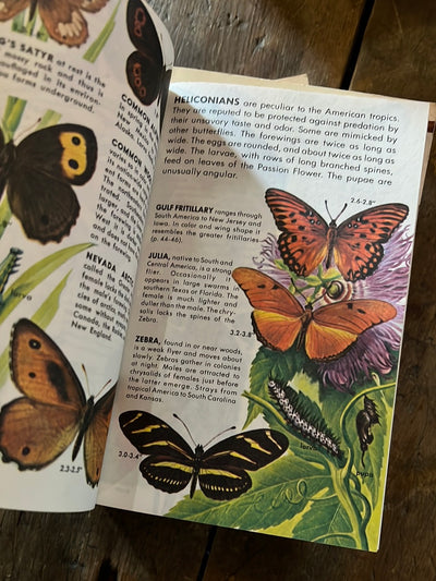 1987 A Golden Guide - Butterflies and Moths