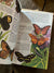 1987 A Golden Guide - Butterflies and Moths