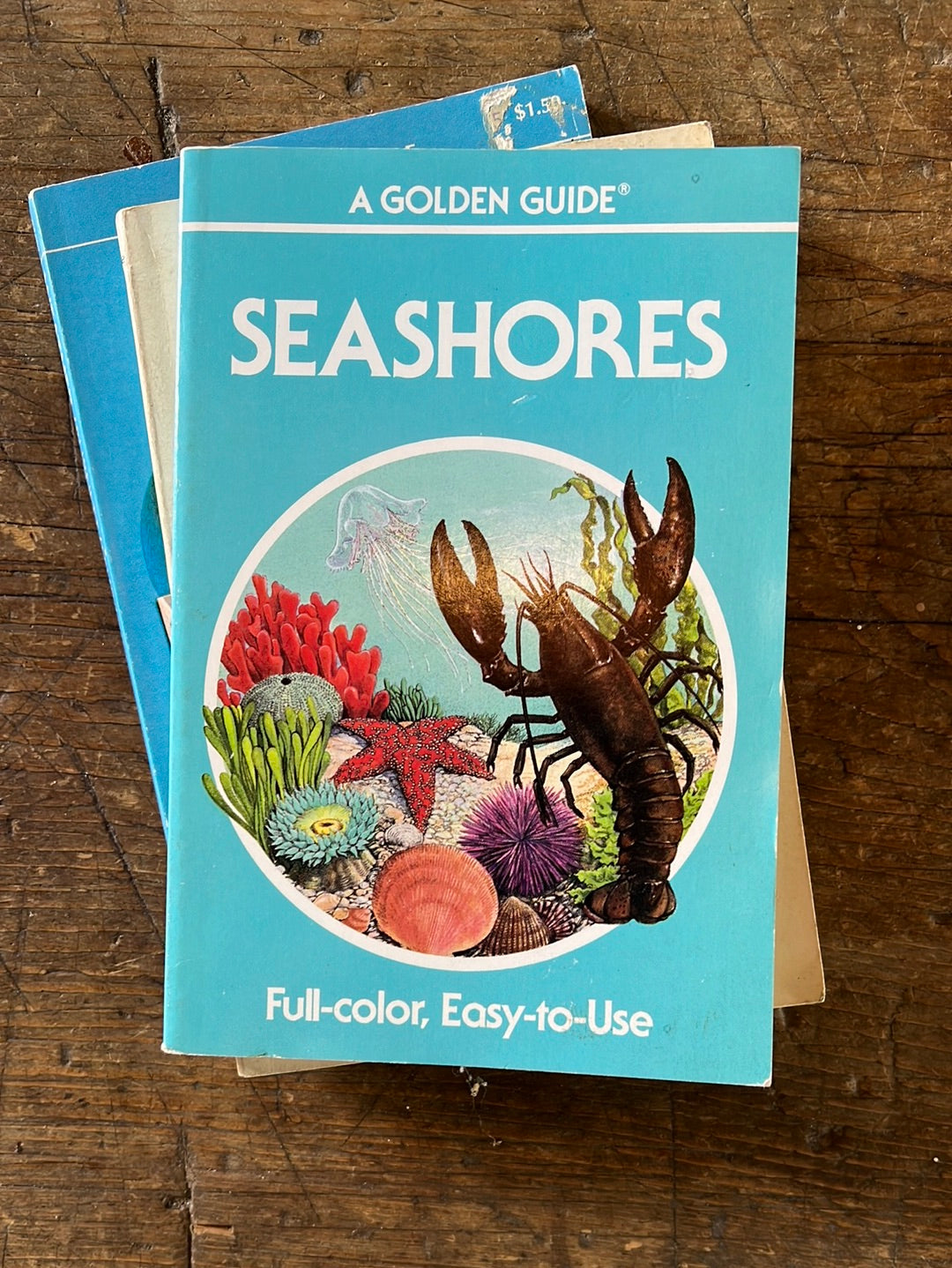 1989 A Golden Guide - Seashores