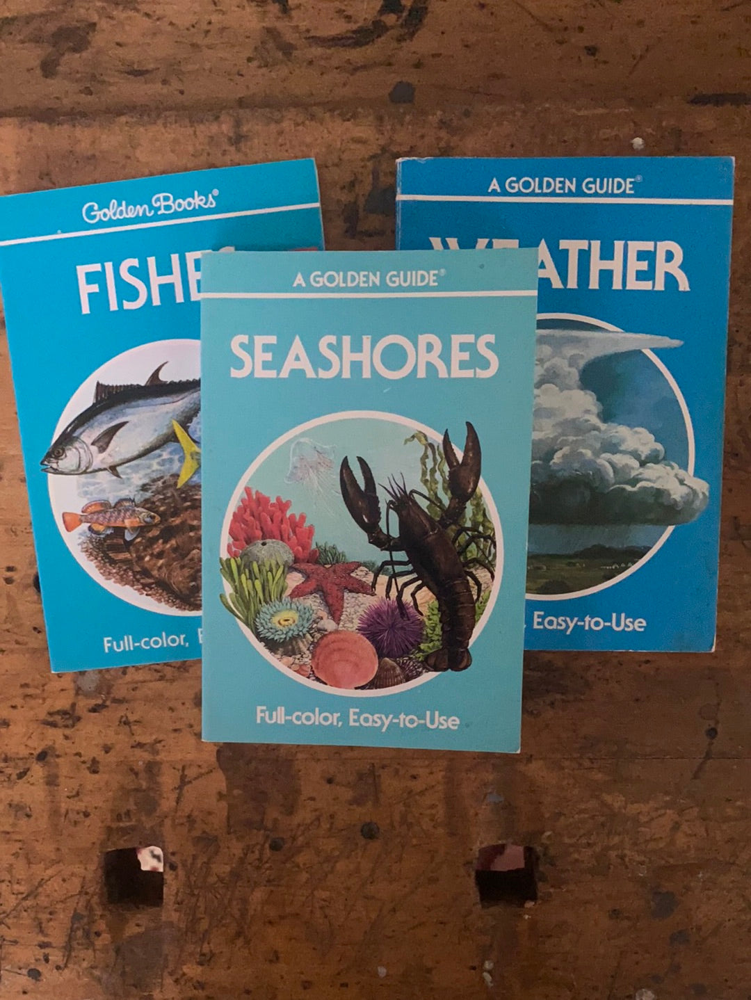 1987 A Golden Guide - Seashores