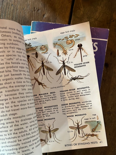 1966 A Golden Guide - Insect Pests