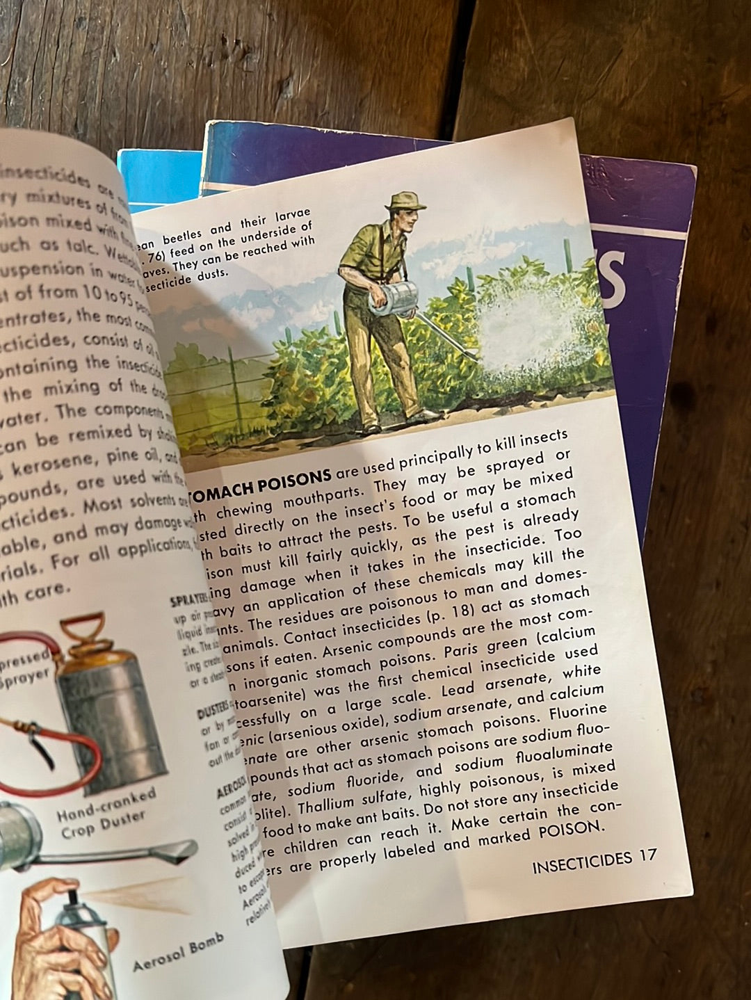 1966 A Golden Guide - Insect Pests