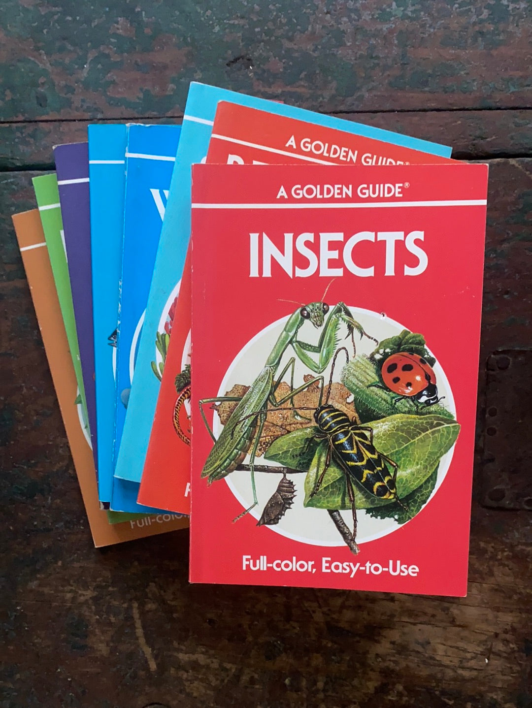 1987 A Golden Guide -Insects