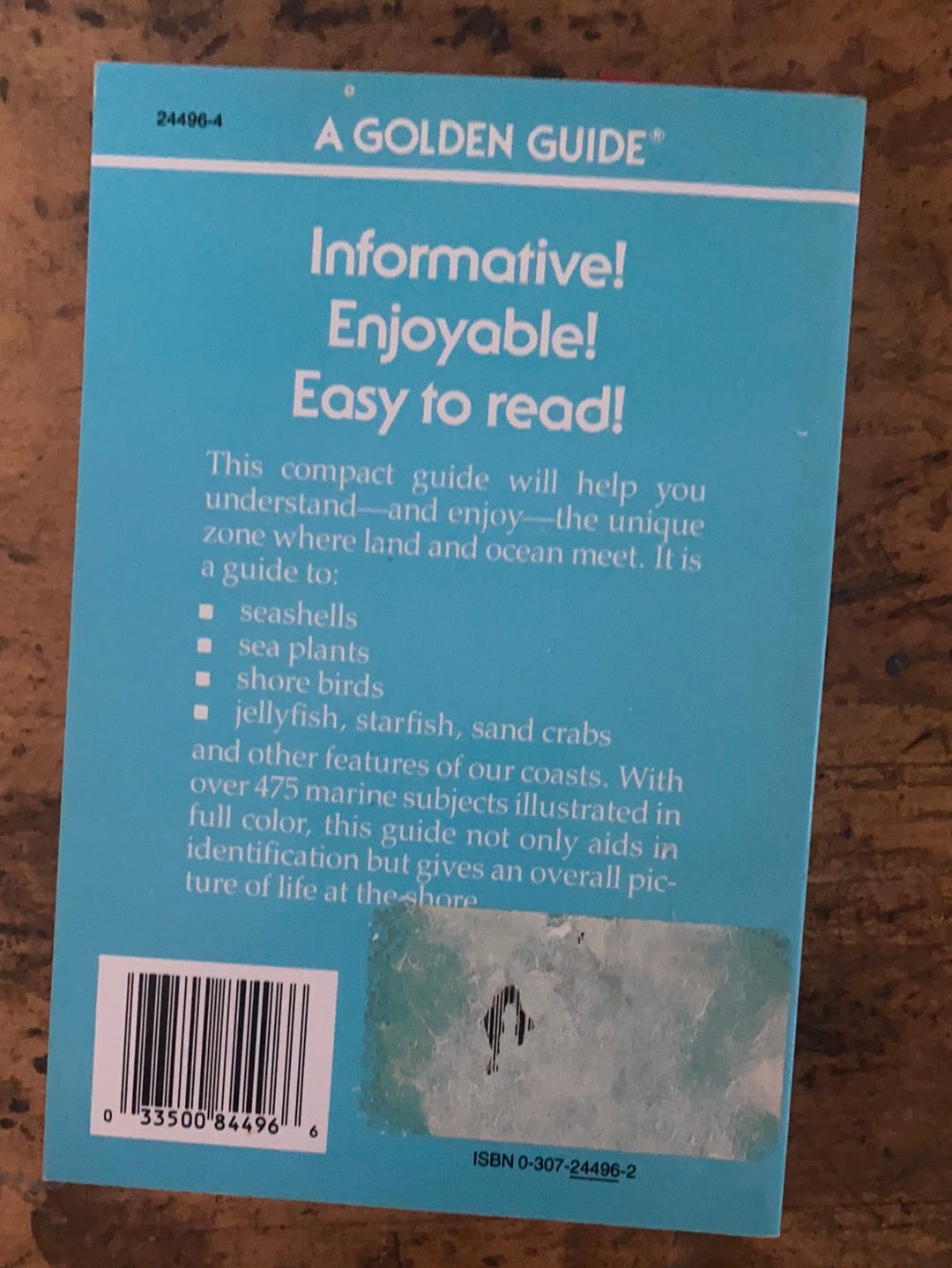 1987 A Golden Guide - Seashores