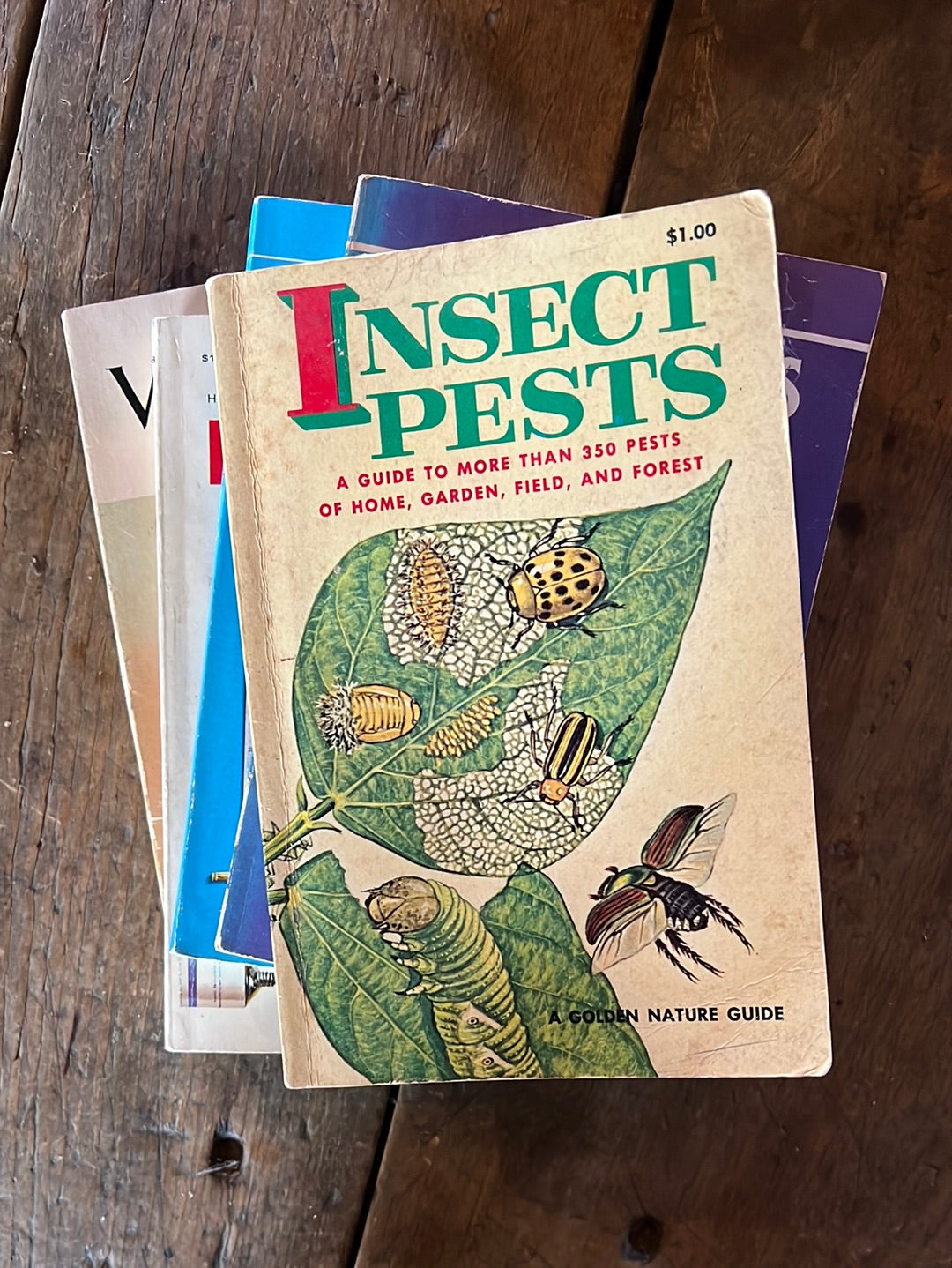 1966 A Golden Guide - Insect Pests