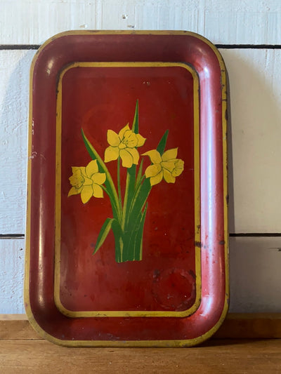 Daffodil - Red Tray