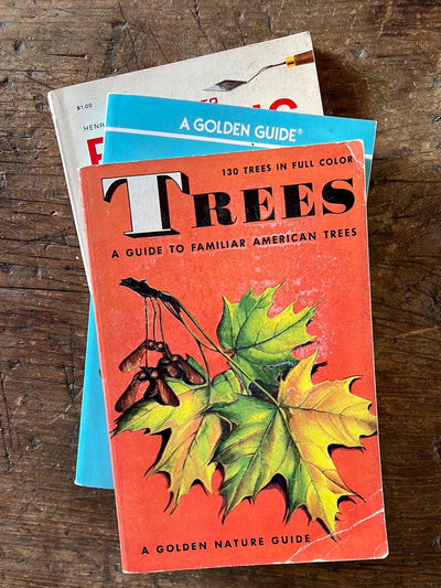 1952 A Golden Guide - Trees