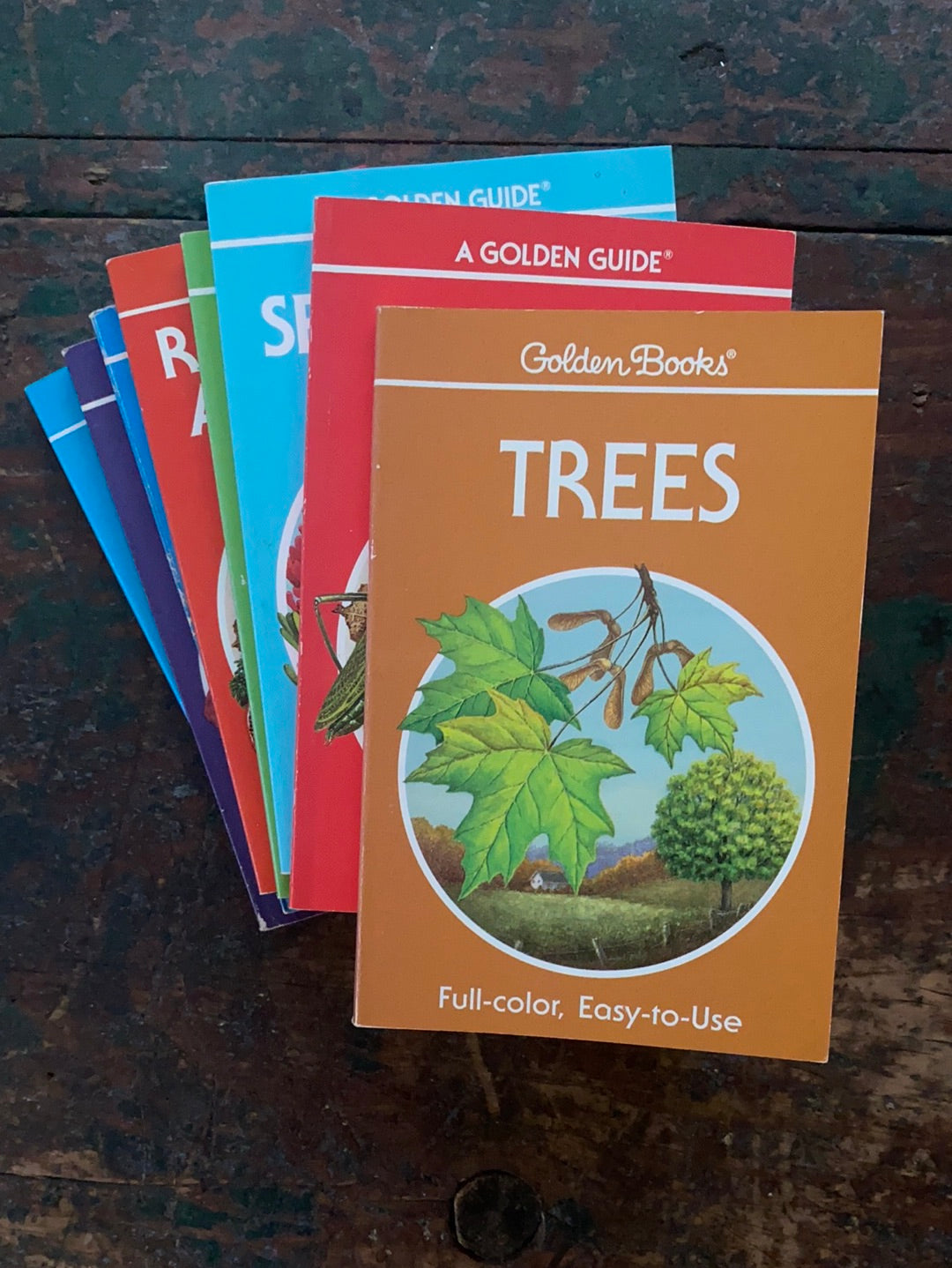 1987 A Golden Guide - Trees