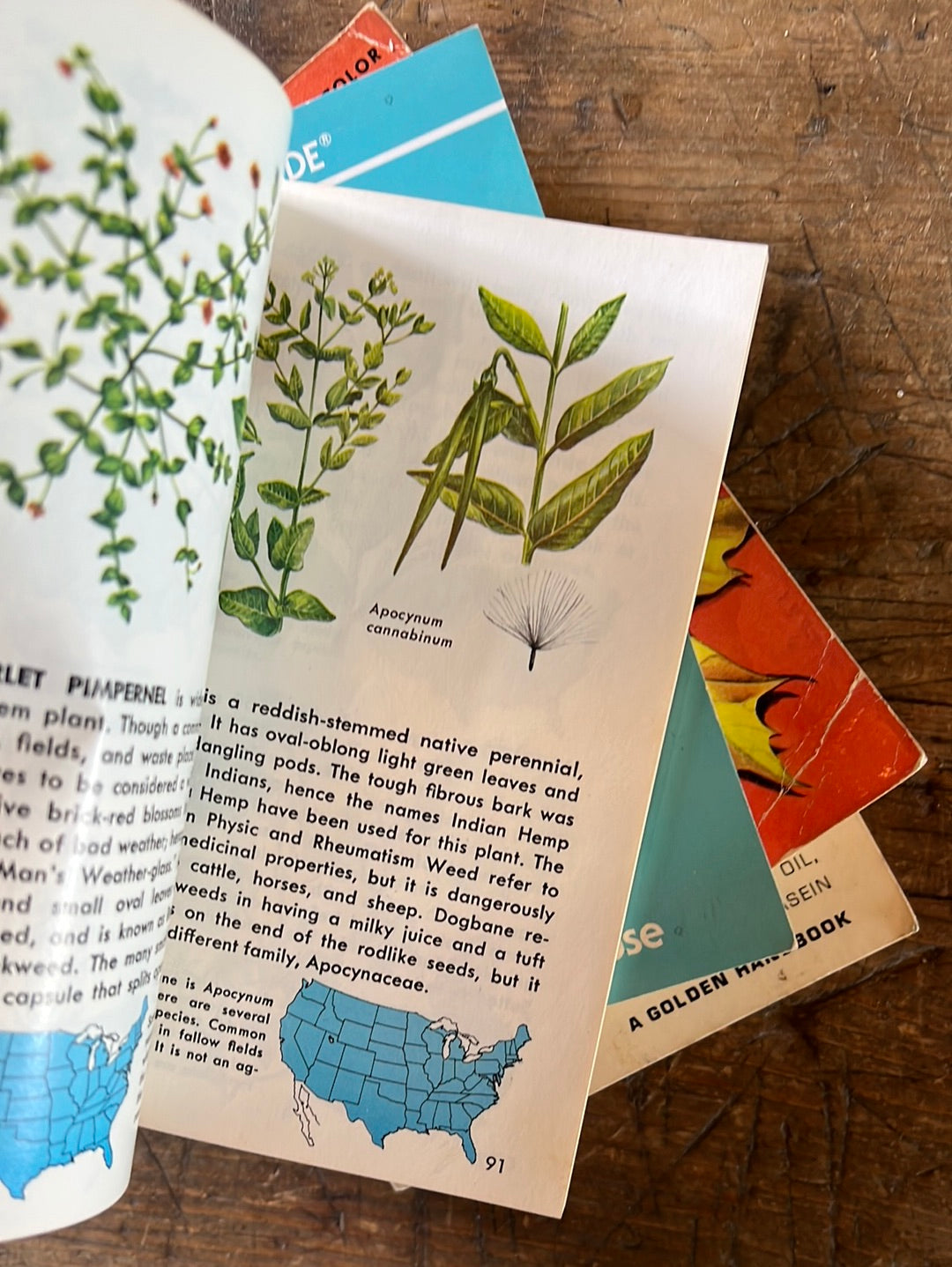 1967 A Golden Guide - Weeds
