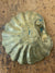 Brass Clam Tray