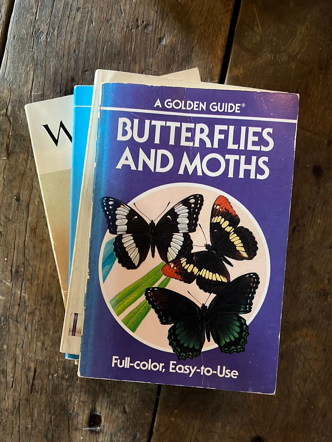 1987 A Golden Guide - Butterflies and Moths