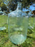 Vintage Glass Belmont Springs Bottle