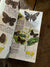 1987 A Golden Guide - Butterflies and Moths