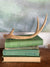 3 Point Deer Antler