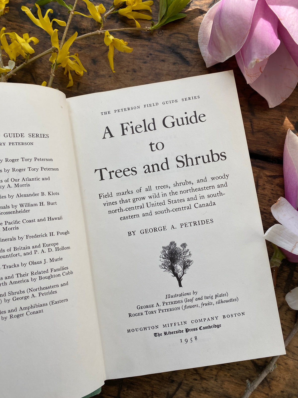 1958 Field Guide to Trees & Shrubs
