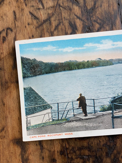 Vintage Cape Pond Post Card