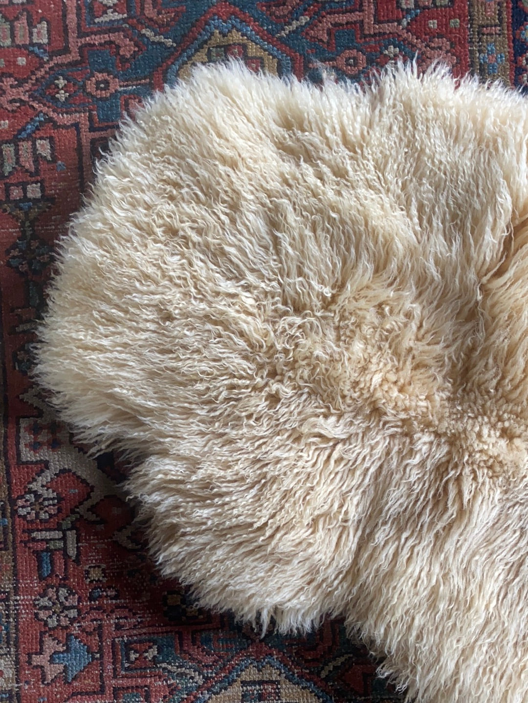 Vintage Sheepskin