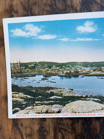 Vintage Harbor View Post Card
