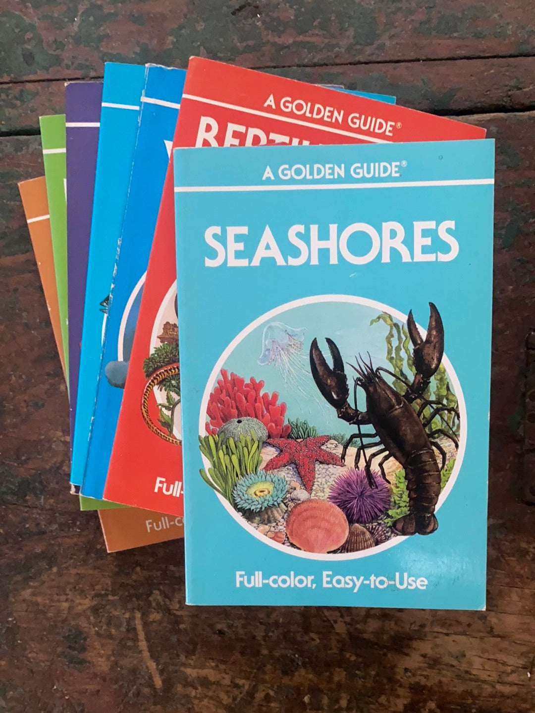 1987 A Golden Guide - Seashores