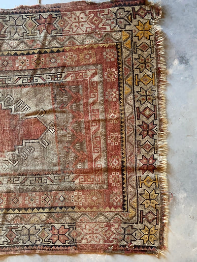 Vintage Worn In Area Rug - Terracotta + Natural