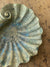 Brass Clam Tray