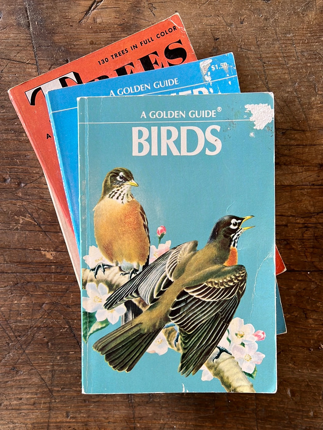 1949 A Golden Guide - Birds