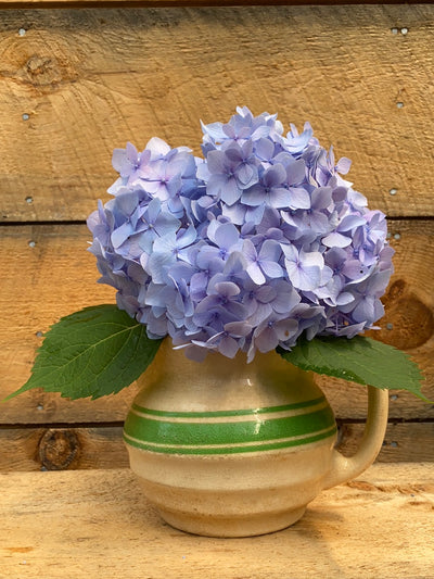 Vintage Farmhouse Stye Pitcher