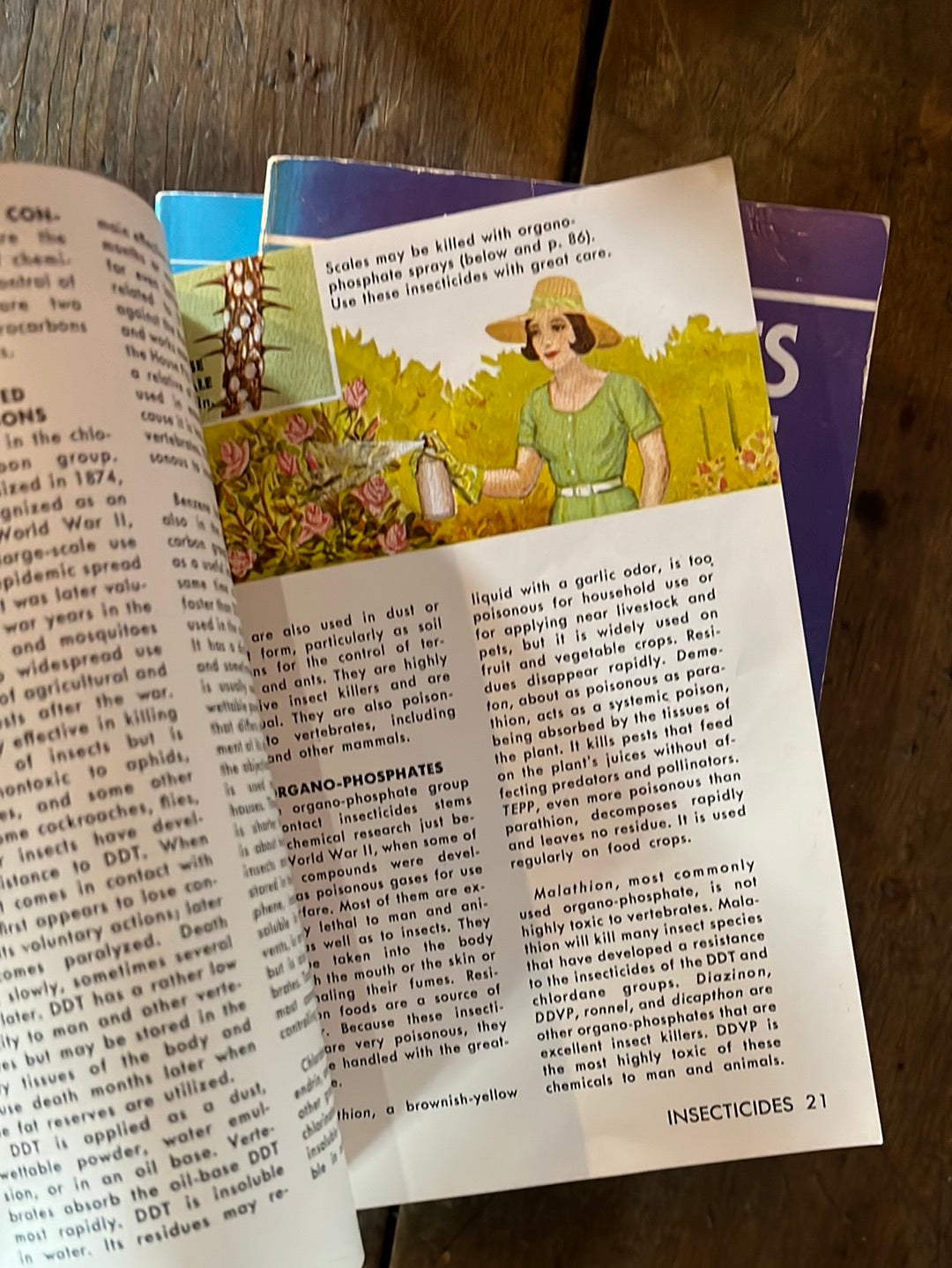 1966 A Golden Guide - Insect Pests