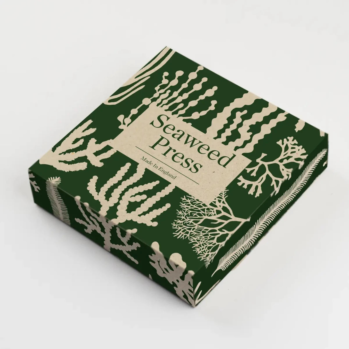 Seaweed Press Kit - Diamonds & Rust