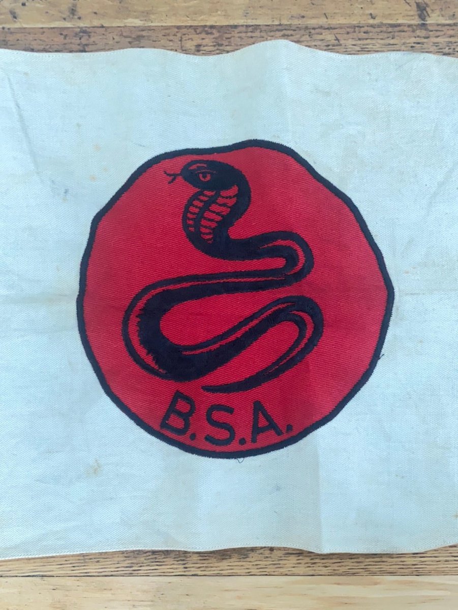 Vintage BSA Snake Flag - Diamonds & Rust