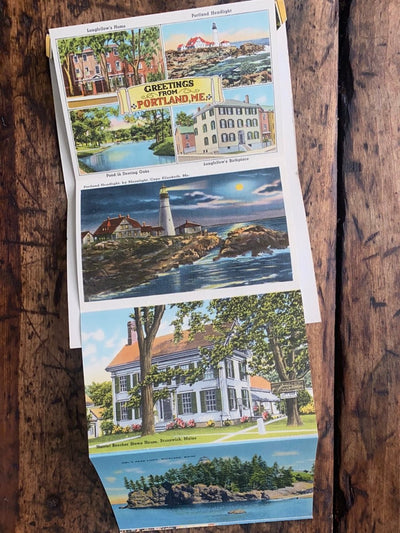 Vintage MAINE Post Cards - Diamonds & Rust