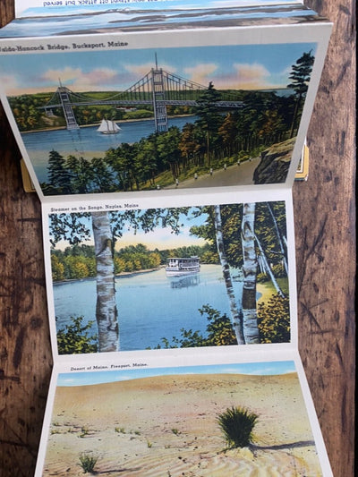 Vintage MAINE Post Cards - Diamonds & Rust